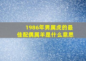 1986年男属虎的最佳配偶属羊是什么意思