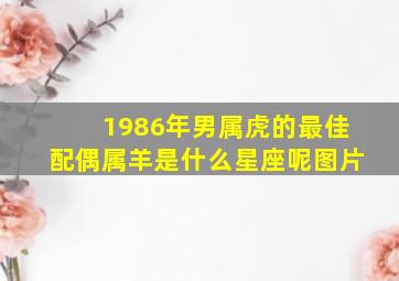 1986年男属虎的最佳配偶属羊是什么星座呢图片