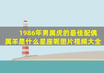 1986年男属虎的最佳配偶属羊是什么星座呢图片视频大全