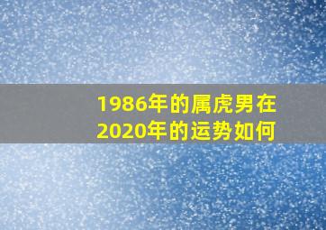 1986年的属虎男在2020年的运势如何