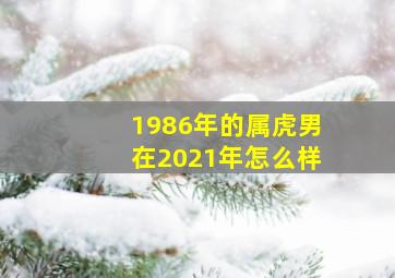 1986年的属虎男在2021年怎么样