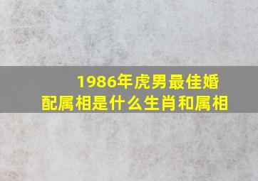 1986年虎男最佳婚配属相是什么生肖和属相