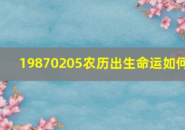 19870205农历出生命运如何