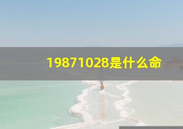 19871028是什么命