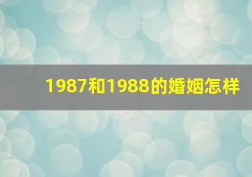 1987和1988的婚姻怎样