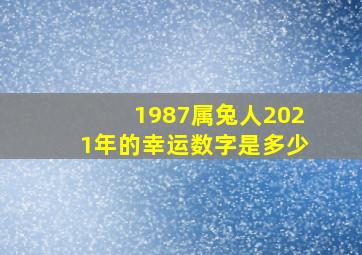 1987属兔人2021年的幸运数字是多少