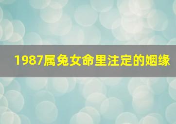 1987属兔女命里注定的姻缘