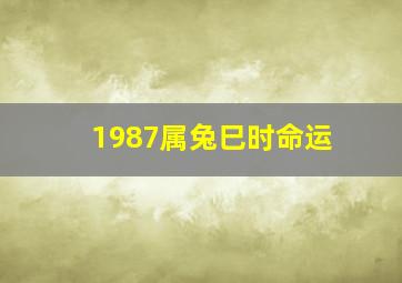 1987属兔巳时命运