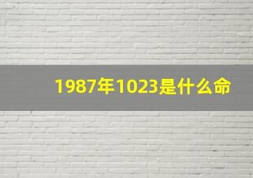 1987年1023是什么命