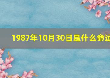 1987年10月30日是什么命运