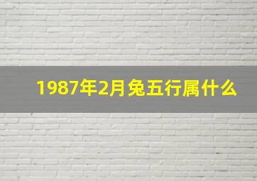 1987年2月兔五行属什么