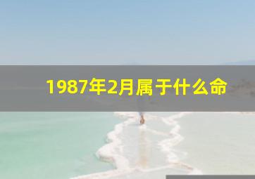 1987年2月属于什么命