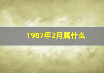 1987年2月属什么