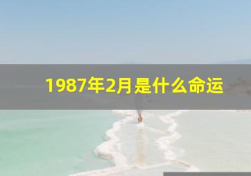 1987年2月是什么命运