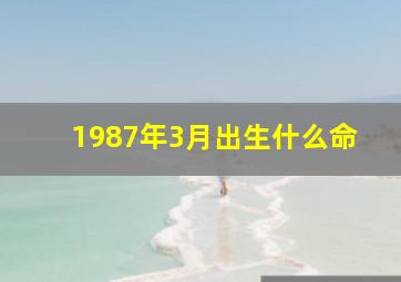 1987年3月出生什么命