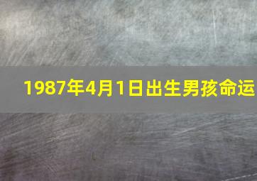 1987年4月1日出生男孩命运