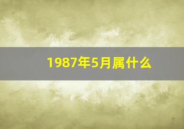 1987年5月属什么