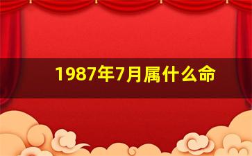 1987年7月属什么命