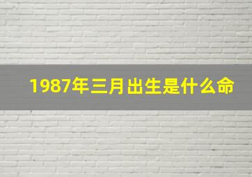 1987年三月出生是什么命