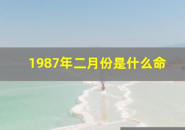 1987年二月份是什么命