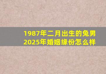 1987年二月出生的兔男2025年婚姻缘份怎么样