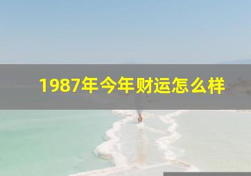 1987年今年财运怎么样