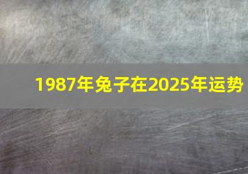 1987年兔子在2025年运势