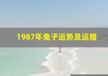 1987年兔子运势及运程