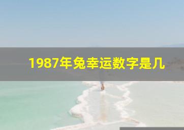 1987年兔幸运数字是几