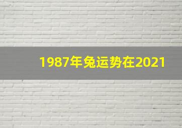 1987年兔运势在2021