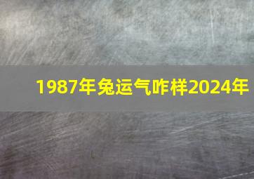 1987年兔运气咋样2024年