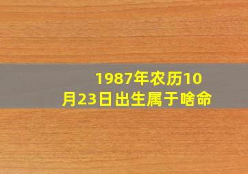 1987年农历10月23日出生属于啥命