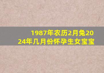 1987年农历2月兔2024年几月份怀孕生女宝宝