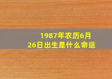 1987年农历6月26日出生是什么命运