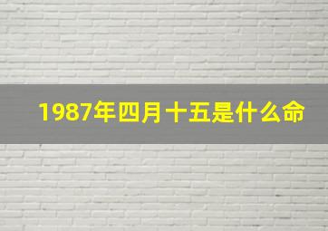 1987年四月十五是什么命