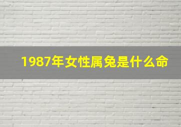 1987年女性属兔是什么命