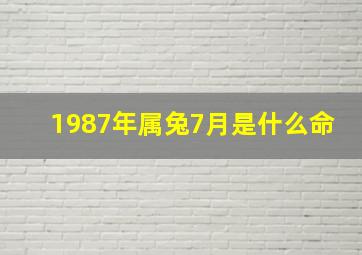 1987年属兔7月是什么命