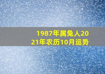 1987年属兔人2021年农历10月运势