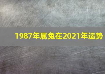 1987年属兔在2021年运势