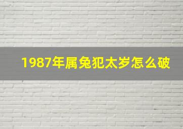 1987年属兔犯太岁怎么破