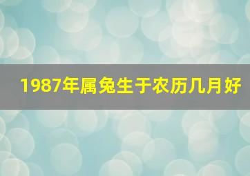 1987年属兔生于农历几月好