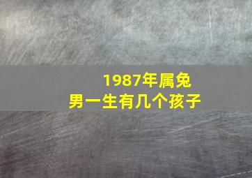 1987年属兔男一生有几个孩子