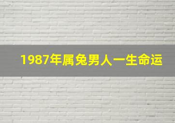 1987年属兔男人一生命运