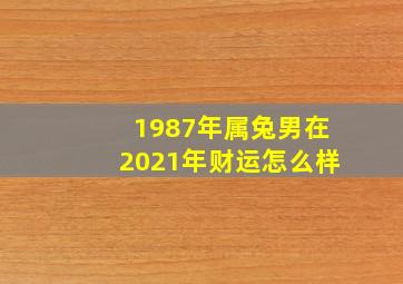 1987年属兔男在2021年财运怎么样