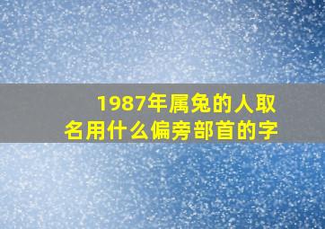 1987年属兔的人取名用什么偏旁部首的字