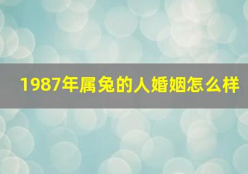 1987年属兔的人婚姻怎么样