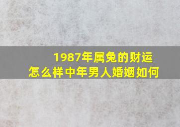 1987年属兔的财运怎么样中年男人婚姻如何