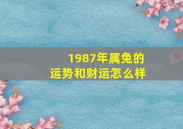 1987年属兔的运势和财运怎么样