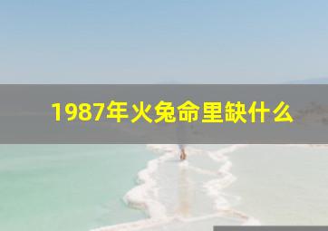 1987年火兔命里缺什么