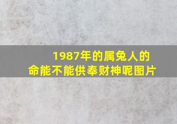 1987年的属兔人的命能不能供奉财神呢图片